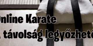 Online karate neked