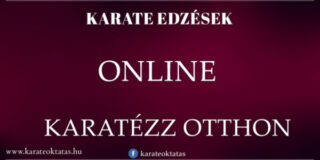 Karate online haladó csoport