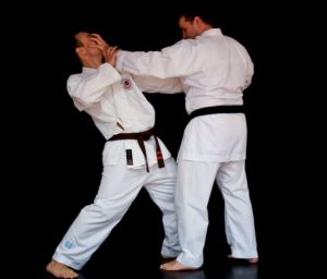 Karate oktatás Budapest XV kerület - Havi bérlet