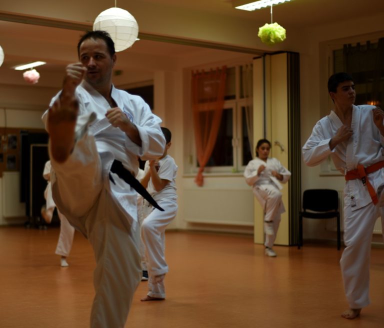 sensei_mae_geri